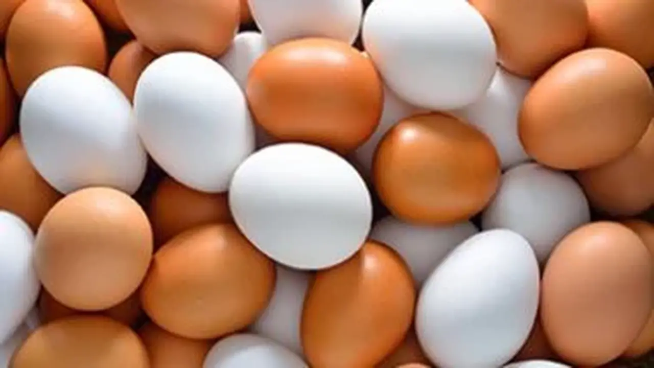 تراجع الأسعار.. سعر كرتونة البيض في كفر الشيخ 115 جنيهًا الاثنين